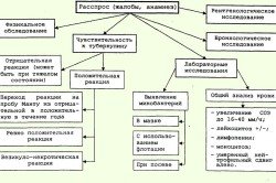 Диагностика туберкулеза